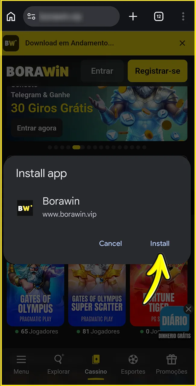 Finalize a instalação no site oficial da BoraWin.