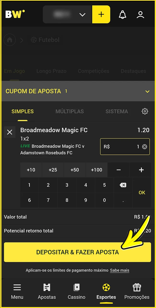 Finalize sua aposta no site oficial da BoraWin.