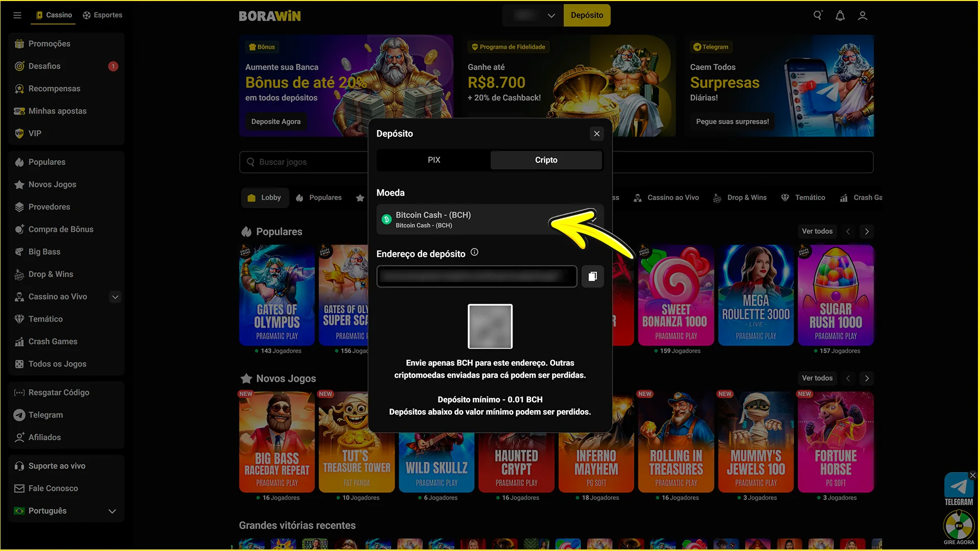 Deposite fundos pelo site oficial da BoraWin.