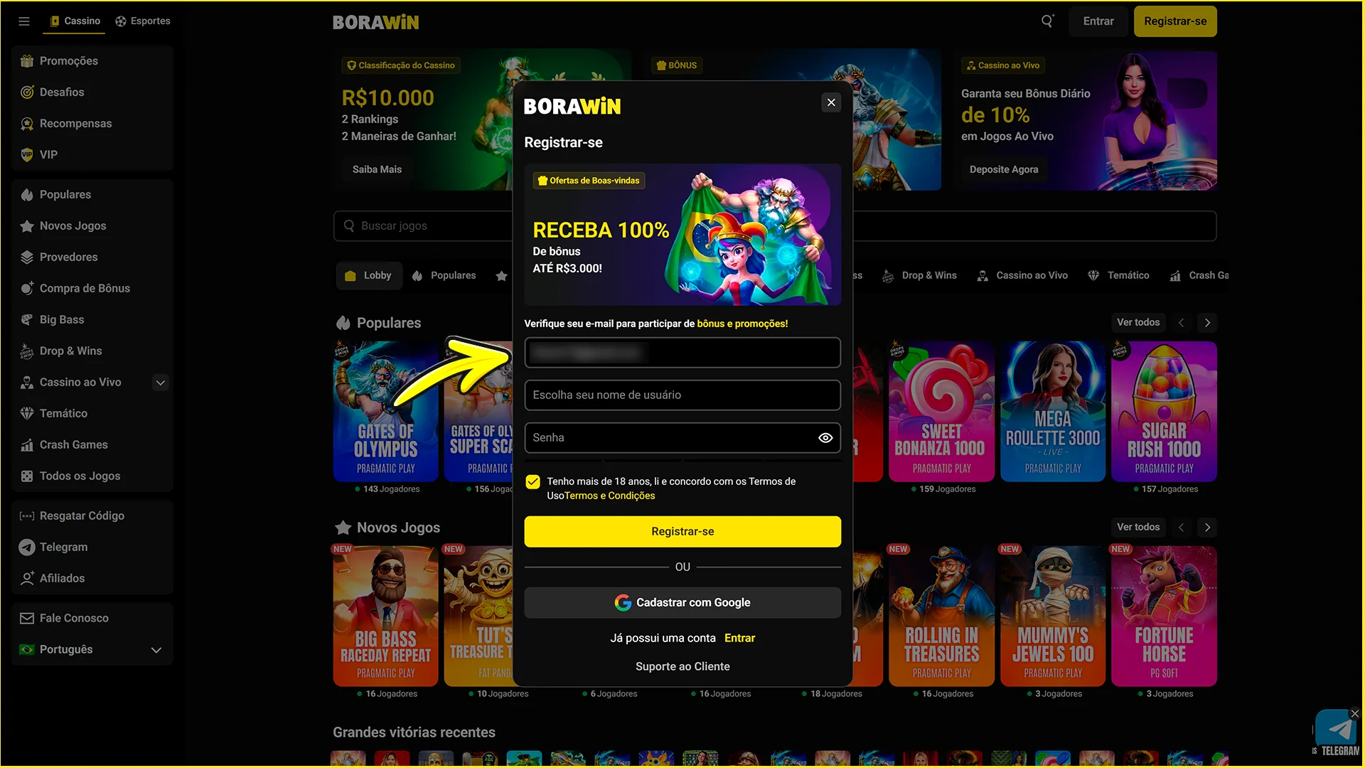 Insira seus dados no site oficial da BoraWin.