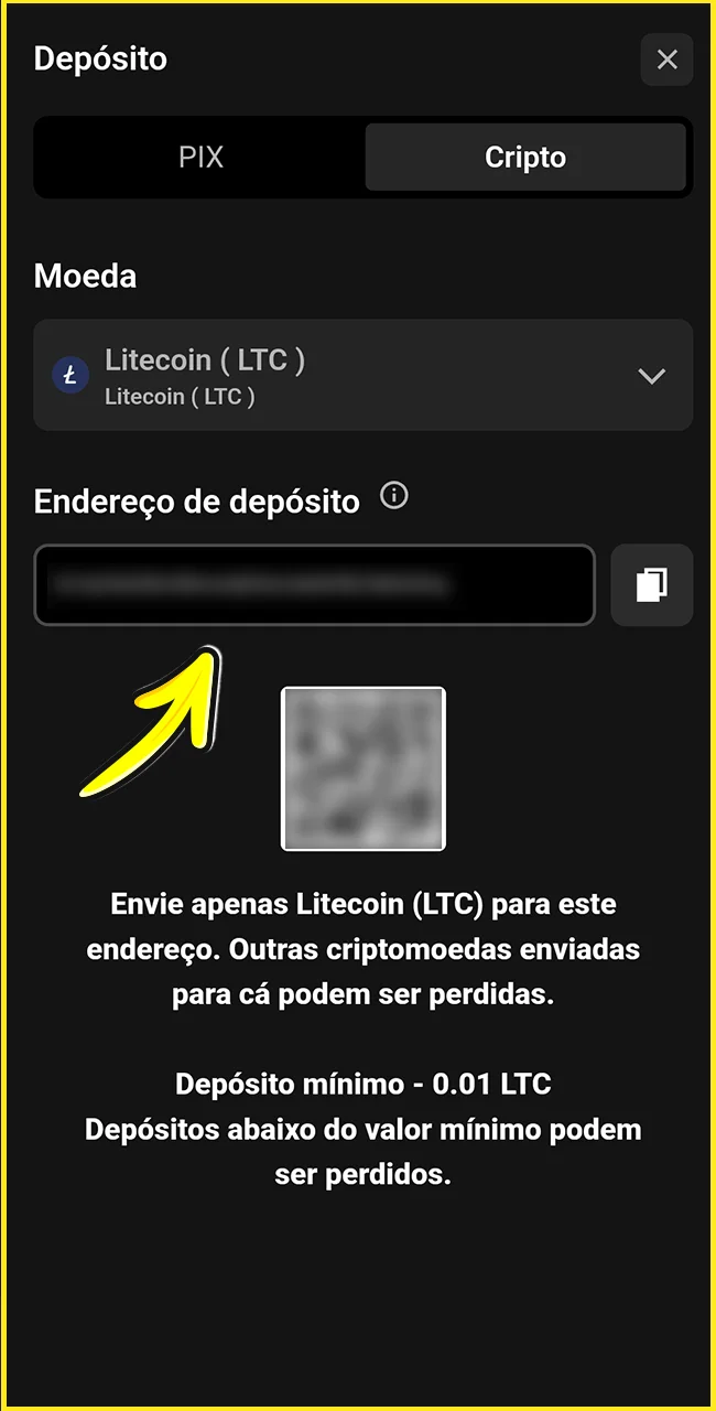 Digite o valor no site oficial da BoraWin.