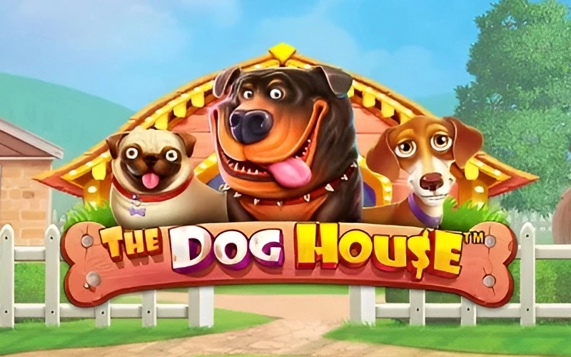 Consiga grandes prêmios no slot The Dog House na BoraWin.